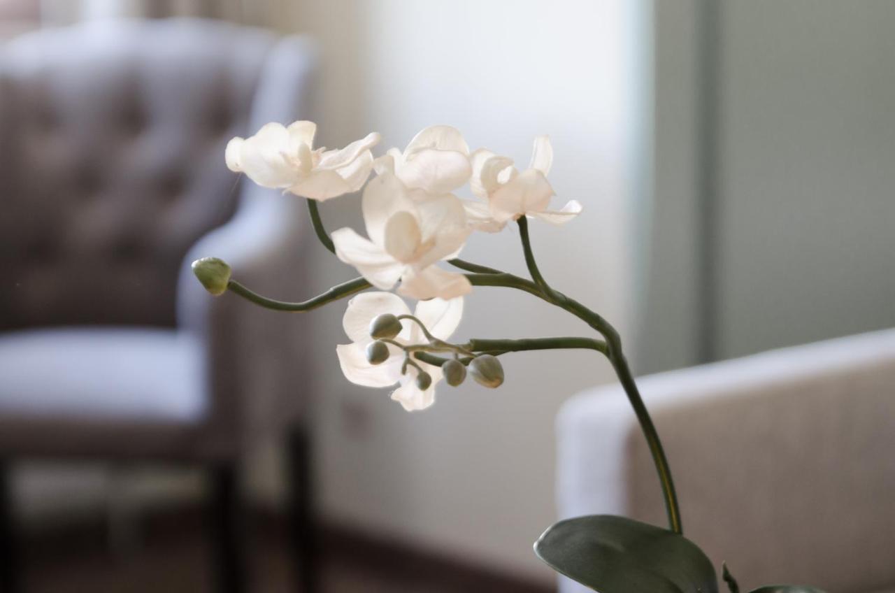 Hotel Unterbrunn Apartments & Gaestehaus Neukirchen am Grossvenediger Ngoại thất bức ảnh